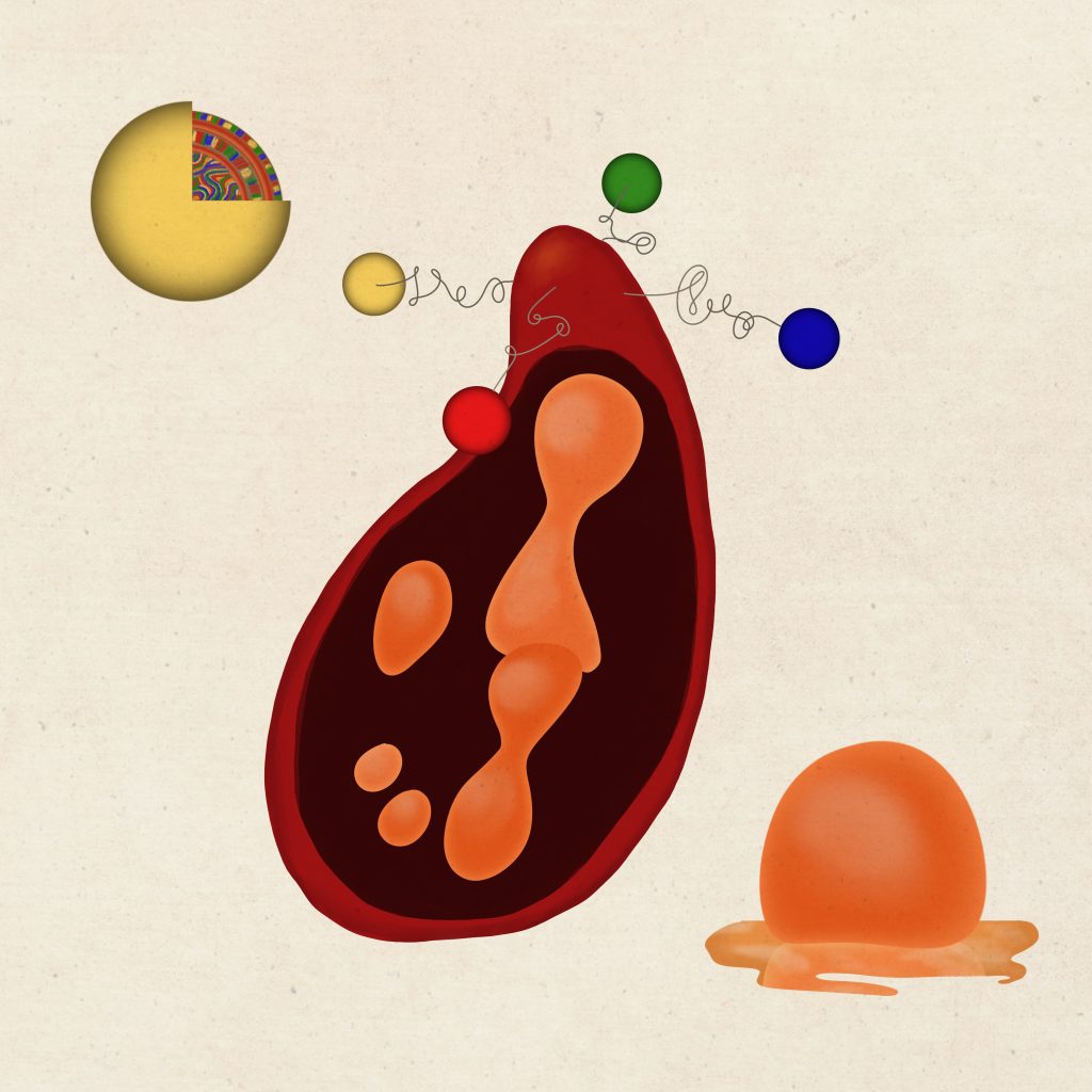 ⋒ᐫ႔ՊᏅᏖ९ຢ