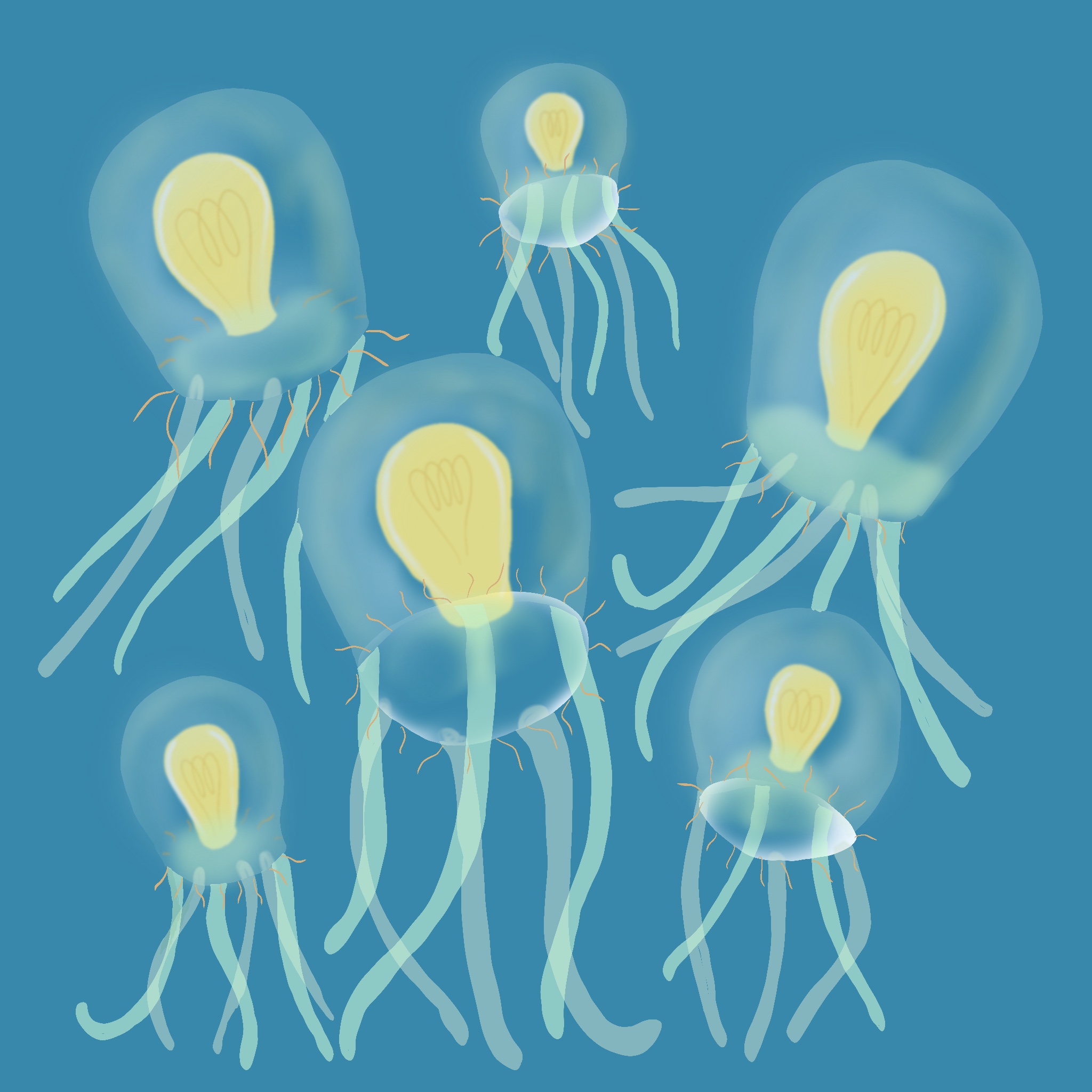 jellybulbs