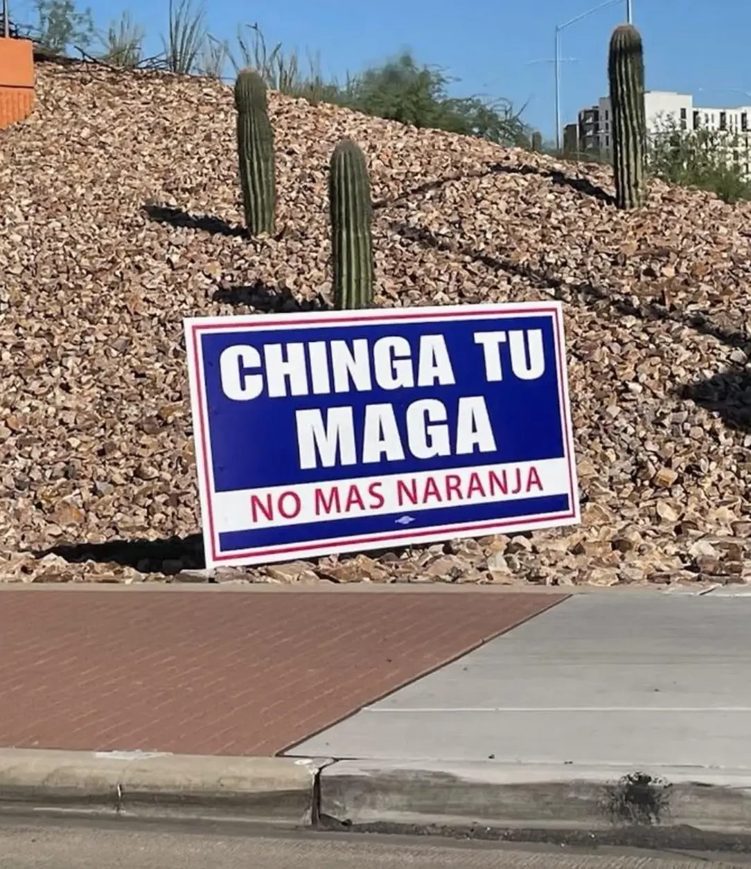 some samplebrain nonsense