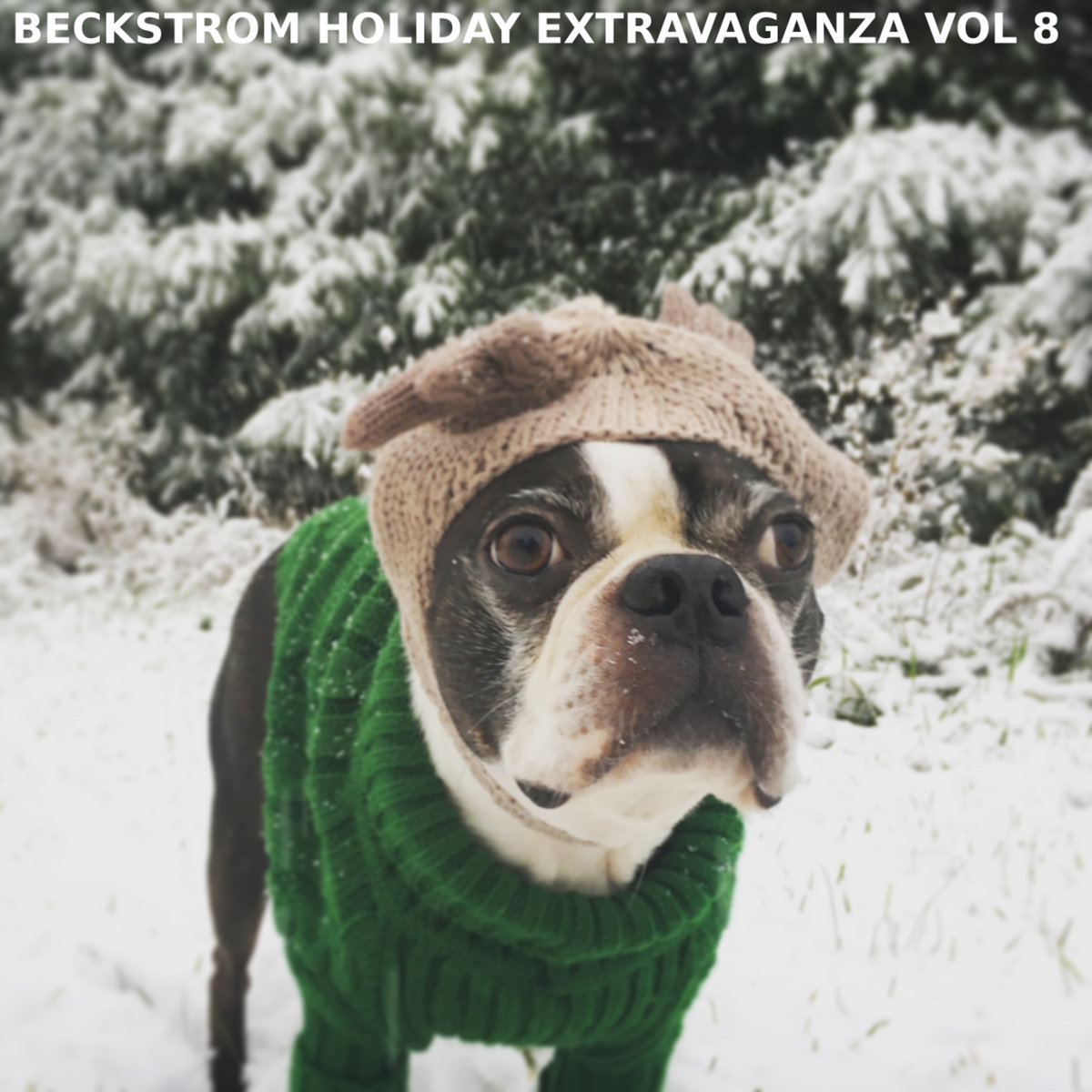 Beckstrom Holiday Extravaganza Volume VIII